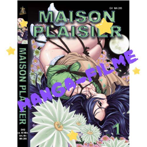 Maison Plaisier #1